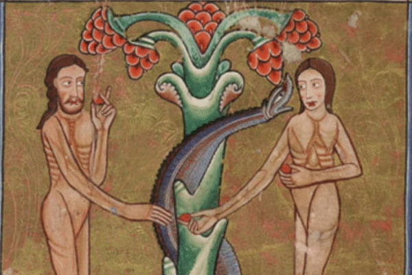Création d’Adam et la tentation d’Adam et Ève, f.7r